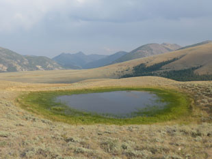 harkness lake