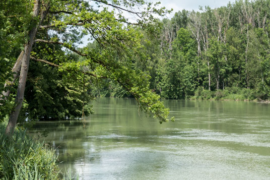 Lech, 24 km ab Donauwörth