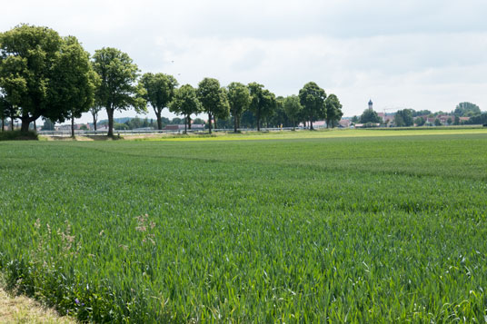 Mertingen, 8 km ab Donauwörth