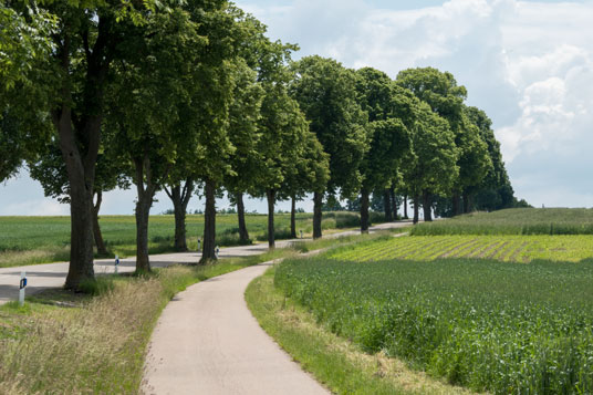 Via Claudia Augusta nördlich von Druisheim, 11,3 km ab Donauwörth