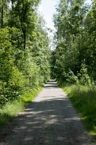 Via Claudia Augusta entlang des Lech, 25,4 km ab Donauwörth