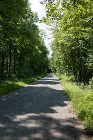 Via Claudia Augusta südlich von Augsburg, 58,8 km ab Donauwörth