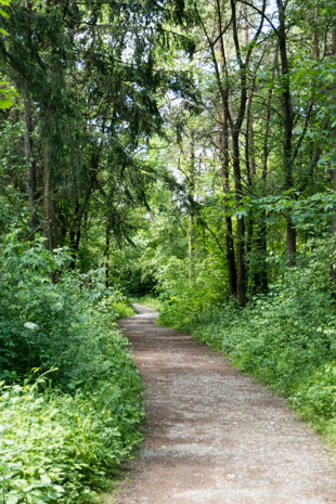 Via Claudia Augusta östlich von Haunstetten, 63,9 km ab Donauwörth