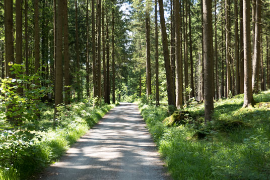 Via Claudia Augusta südlich von Altenstadt, 143,7 km ab Donauwörth