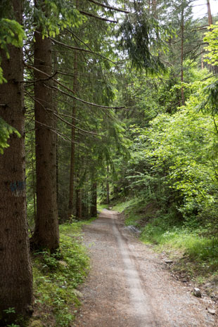 Via Claudia Augusta auf der Südseite des Fernpasses, 230 km ab Donauwörth