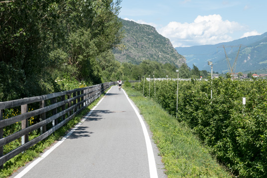 Via Claudia Augusta in den Obstplantagen im Etschtal, 382 km ab Donauwörth