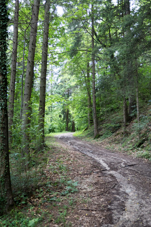 Aufstieg von Trient nach Pergine, 531,5 km ab Start